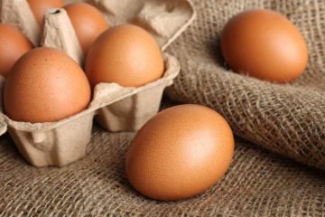 Les prestations de votre fournisseur d’œufs à Cappelle-Brouck